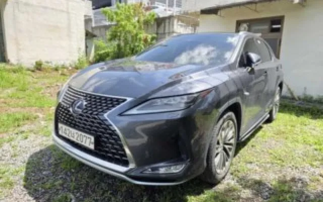 RX 450h(4세대) 이그제큐티브